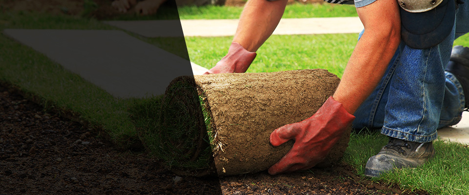 Thomasville Landscapers